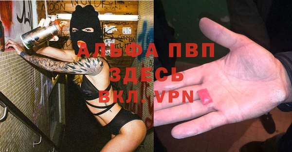 СК Вязьма