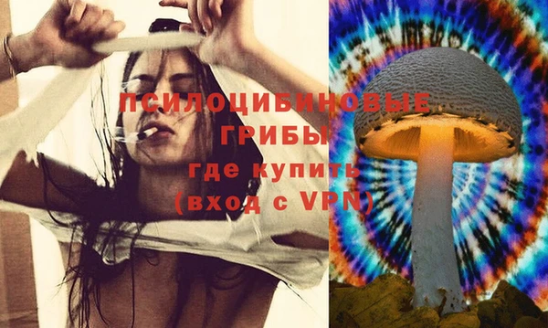 эйфоретик Верея